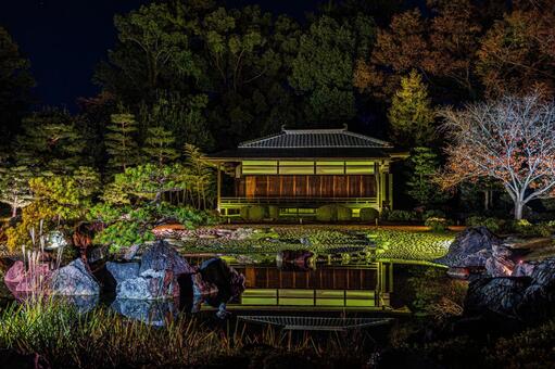 紅葉風景 紅葉風景,京都,二条城の写真素材