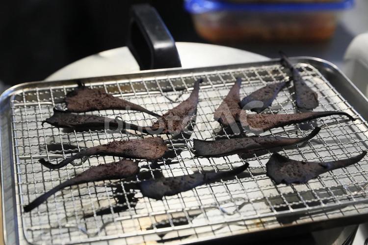 香茸（コウタケ）乾燥中 香茸,コウタケ,シシタケの写真素材