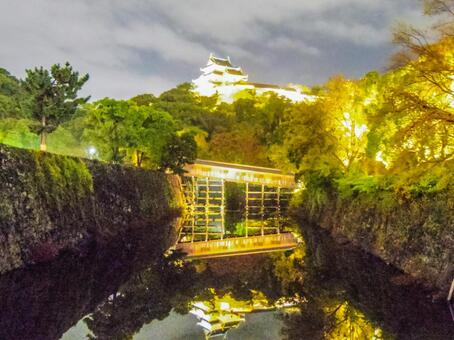 【和歌山県】和歌山市・和歌山城 和歌山城,夜景,夜の写真素材