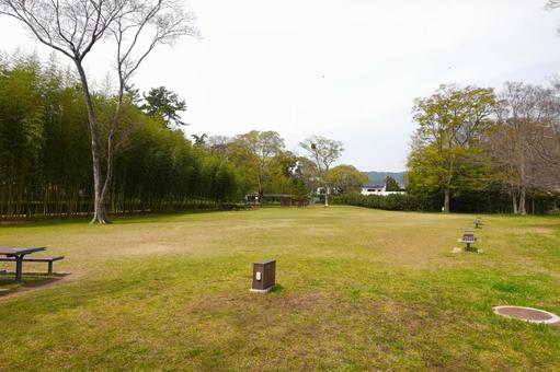 御油松並木 御油松並木公園,愛知県,豊川市の写真素材