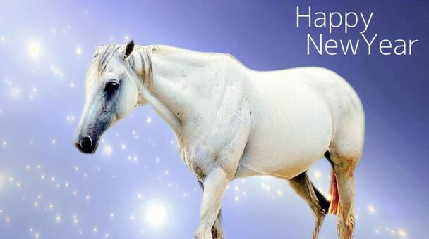 白馬 年賀状(背景青) 白馬,馬,ホースの写真素材