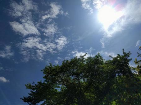 太陽 太陽の写真