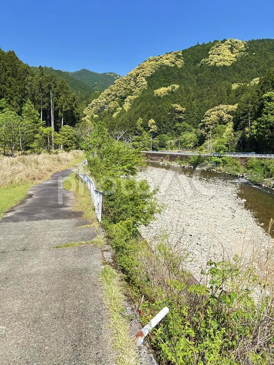 新宮市　高田川　清流 高田川,河川敷,清流の写真素材