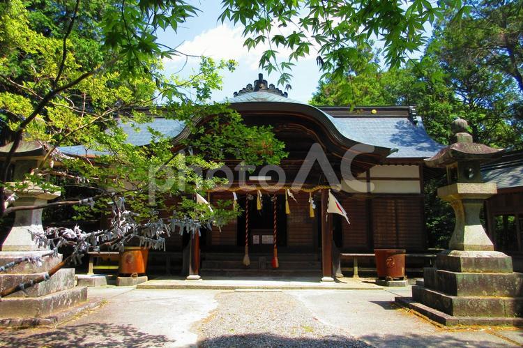 香川県-岩部八幡神社-拝殿 岩部八幡神社,神社,拝殿の写真素材