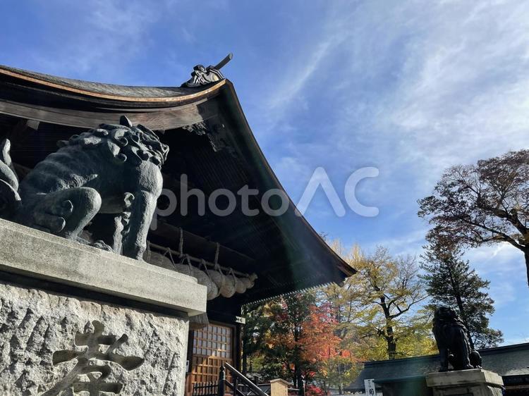 神社と狛犬 神社,社,社殿の写真素材