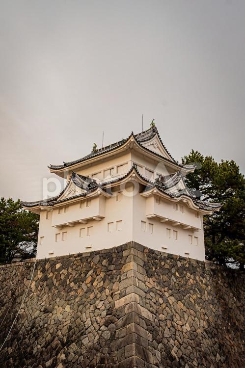 名古屋　名古屋城の風景 名古屋,愛知,愛知県の写真素材