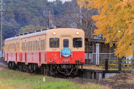 小湊鐵道 小湊鐵道,秋,紅葉の写真素材