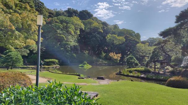 肥後細川庭園 肥後細川庭園 日本庭園,庭園,お庭の写真素材