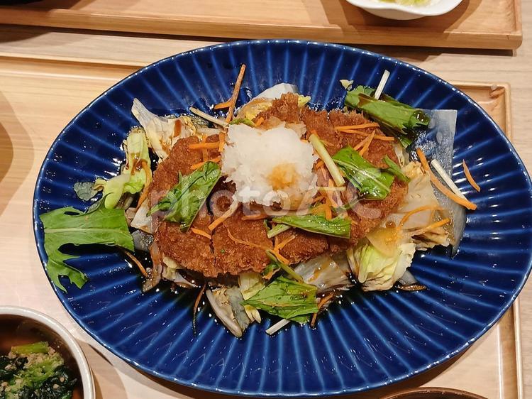 野菜たっぷり大根おろしの豚カツ 豚カツ,揚げ物,外食の写真素材