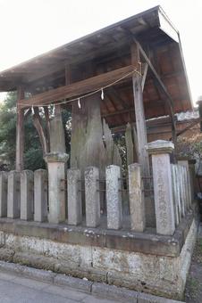 白岡八幡神社 御神木 白岡八幡神社 御神木 御神木,神木,白岡八幡神社の写真素材