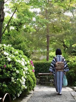 小道を着物で歩く女性 小道を着物で歩く女性の写真