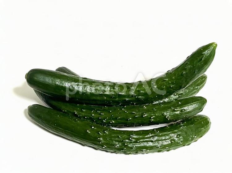 採れたてのきゅうり　 きゅうり,野菜,夏野菜の写真素材