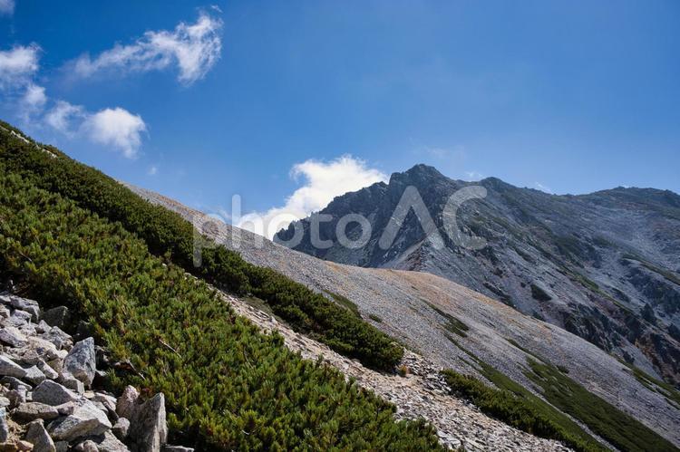 雷鳥沢　立山　北アルプス 雷鳥沢,立山,秋の写真素材