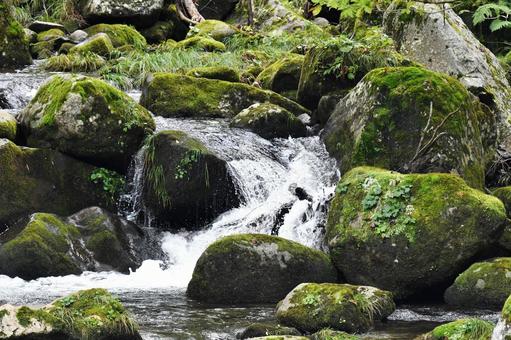 勢いよく流れる清流 清流,渓流,川の写真素材