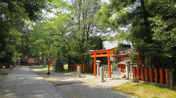 熊野速玉大社　参道　八咫烏神社 熊野速玉大社,熊野三山,熊野権現の写真素材
