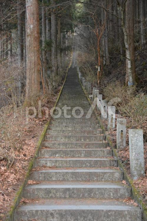 神社の長い階段 階段,石段,長いの写真素材