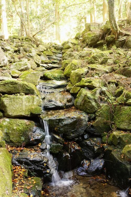 穏やかに水を運ぶ石の階段 水,石,階段の写真素材