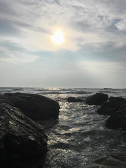 葉山の海 葉山の海の写真