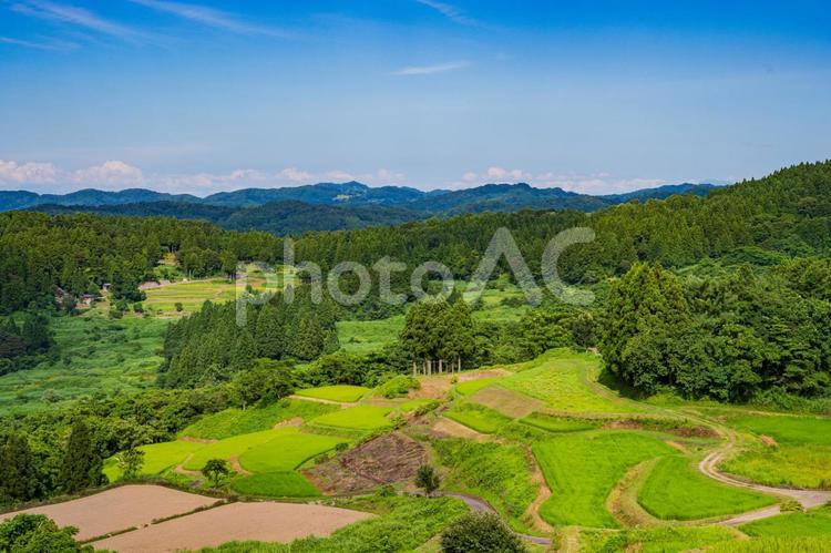 真夏の棚田 空,夏,青空の写真素材