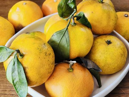 みかん 果物,くだもの,冬の写真素材