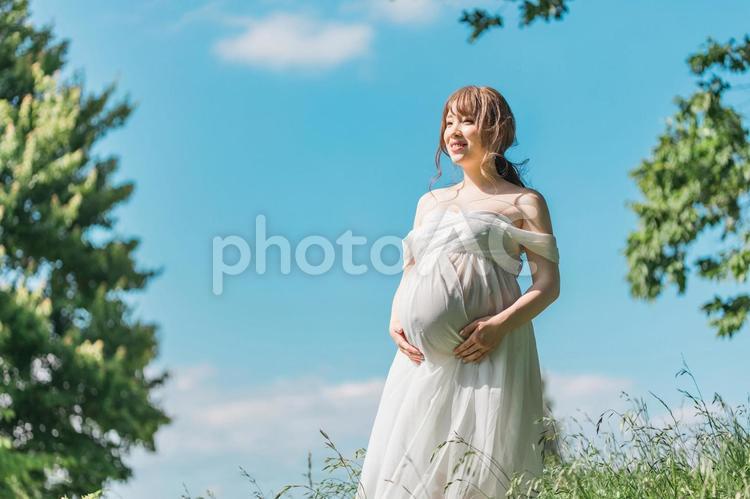 マタニティフォトの撮影をする女性（青空） 妊婦,妊娠,空の写真素材