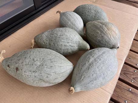 カボチャ カボチャ カボチャ,野菜,段ボールの写真素材