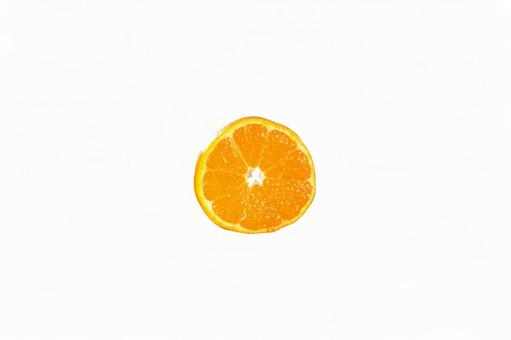みかん輪切り単品断面01白バック みかん,オレンジ,蜜柑の写真素材