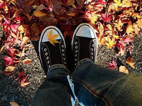 冬の落ち葉とスニーカー2 スニーカー,落ち葉,デニムの写真素材