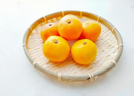 みかん みかん,柑橘,果物の写真素材