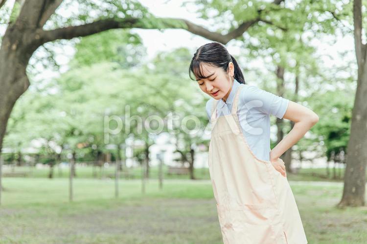 エプロンをつけた女性（腰痛） 介護士,看護師,疲労の写真素材
