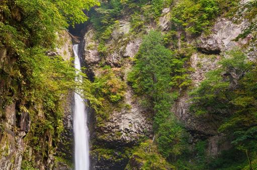 根尾の滝 秋( 飛騨小坂) 根尾の滝 秋( 飛騨小坂) 根尾の滝,渓流,渓谷の写真素材