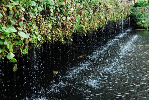 石清水の流れる風景 石清水の流れる風景 滝,石清水,小川の写真素材