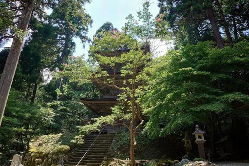福井県-明通寺-国宝-三重塔とサルスベリ 福井県-明通寺-国宝-三重塔とサルスベリ 明通寺,寺,棡山の写真素材