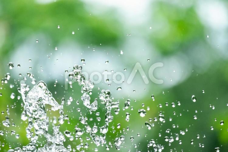 爽やかなグリーンと水しぶき 水しぶき,爽やか,飛沫の写真素材