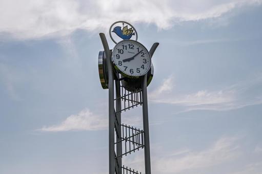 Photo, park, clock, time, 