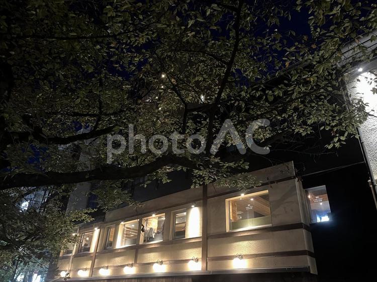 ライトアップされた建物 ライトアップ,建物,夜の写真素材