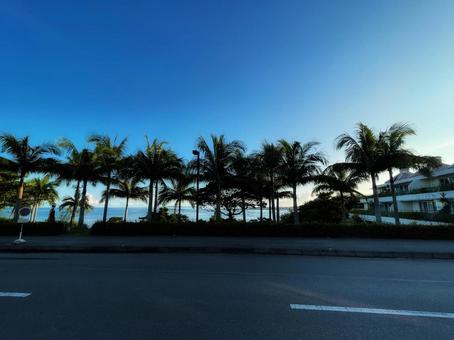リゾートガーデン 景色,リゾート,沖縄の写真素材