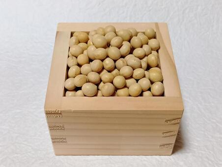 大豆 豆,枡,２月の写真素材