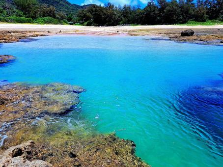 エメラルドグリーンの奄美の海 エメラルドグリーンの奄美の海の写真