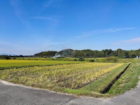 三重県鈴鹿市庄野町　秋の田園風景 田園風景,田圃,田畑の写真素材