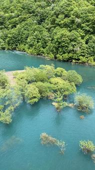 水没林 水没林 水没林,湖,エメラルドグリーンの写真素材