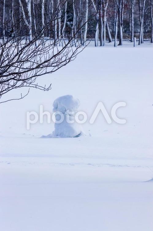 雪だるまのある風景 雪だるま,雪,冬の写真素材