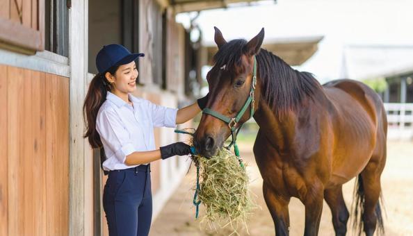 馬と女性厩務員の写真