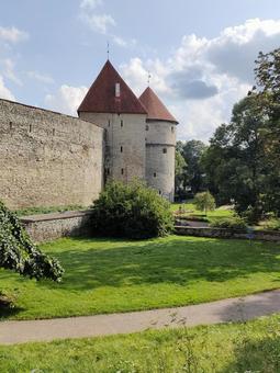 世界遺産 エストニア・タリンの街並み 世界遺産 エストニア・タリンの街並み 中世ヨーロッパ,北欧,バルト三国の写真素材