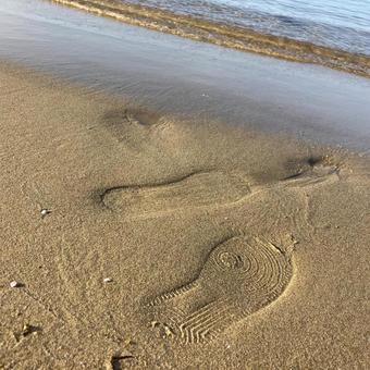 海の足跡 海の足跡の写真