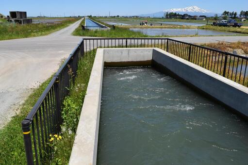農業用水路 山形県庄内 農業用水路,用水路,農業用水の写真素材