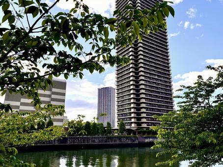 都市の街並 都市の街並 都市,都市の街並,都会の写真素材