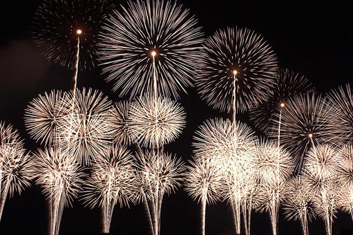 25年長岡まつり 花火 25年長岡まつり 花火の写真