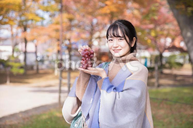 秋の公園でブドウを持つ女性 ブドウ,マスカット,果物の写真素材