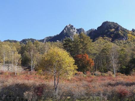 岩山と紅葉の木々 瑞牆山,瑞牆山自然公園,紅葉の写真素材